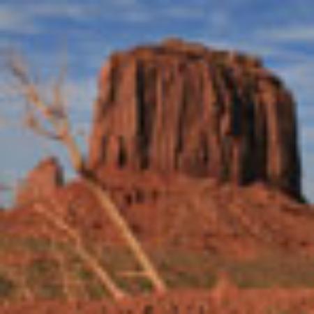 The Coral Cove Restaurant